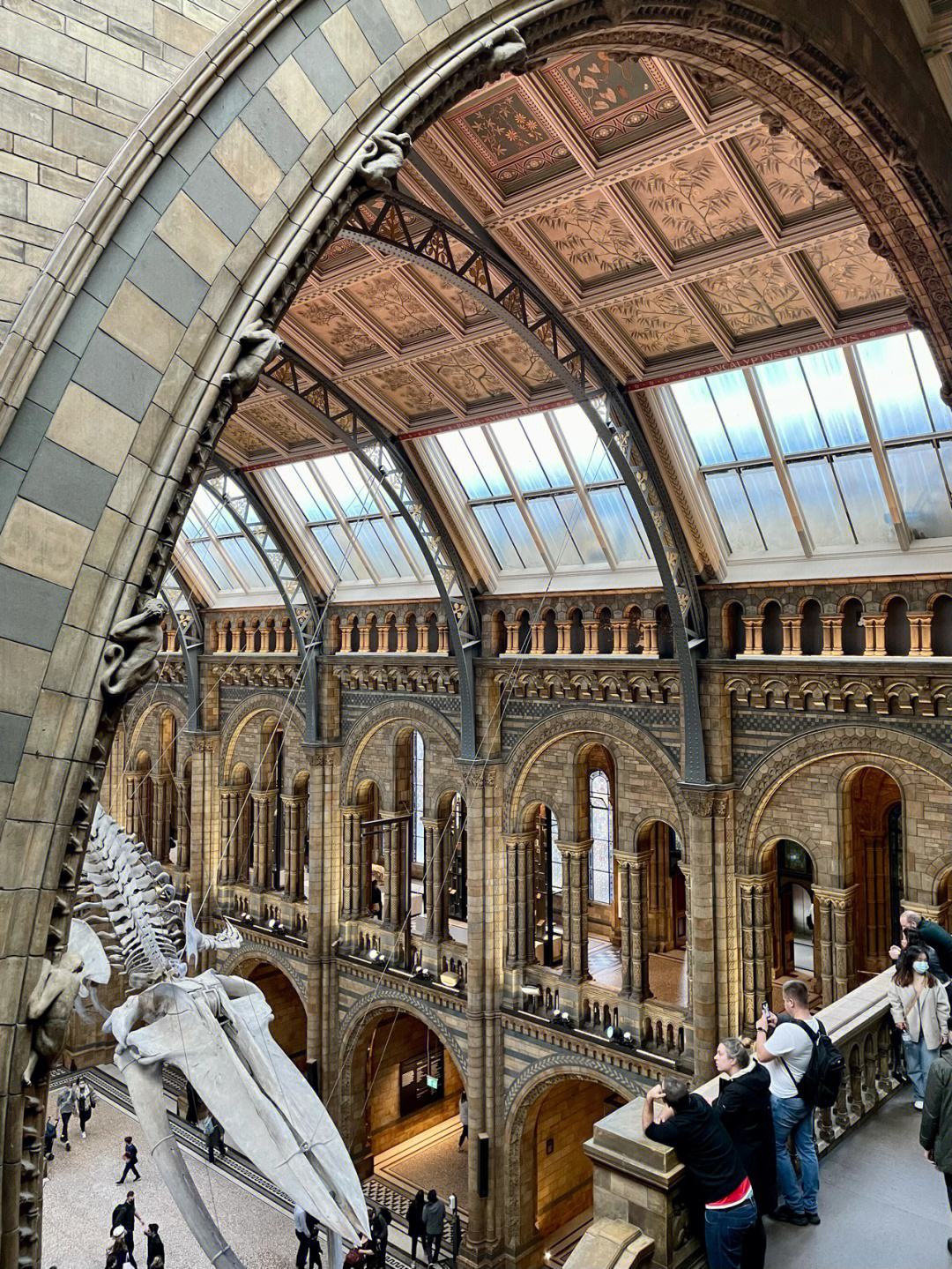 美国博物馆教育纳入国民教育体系,美国自然历史博物馆的由来