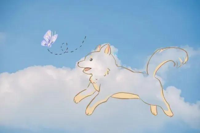 如何提高英语作文成绩,如何提高学生作文成绩