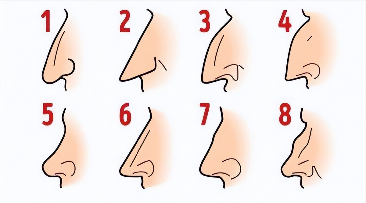 鼻子类型与人的性格,一个人的鼻子长相与人有关系吗