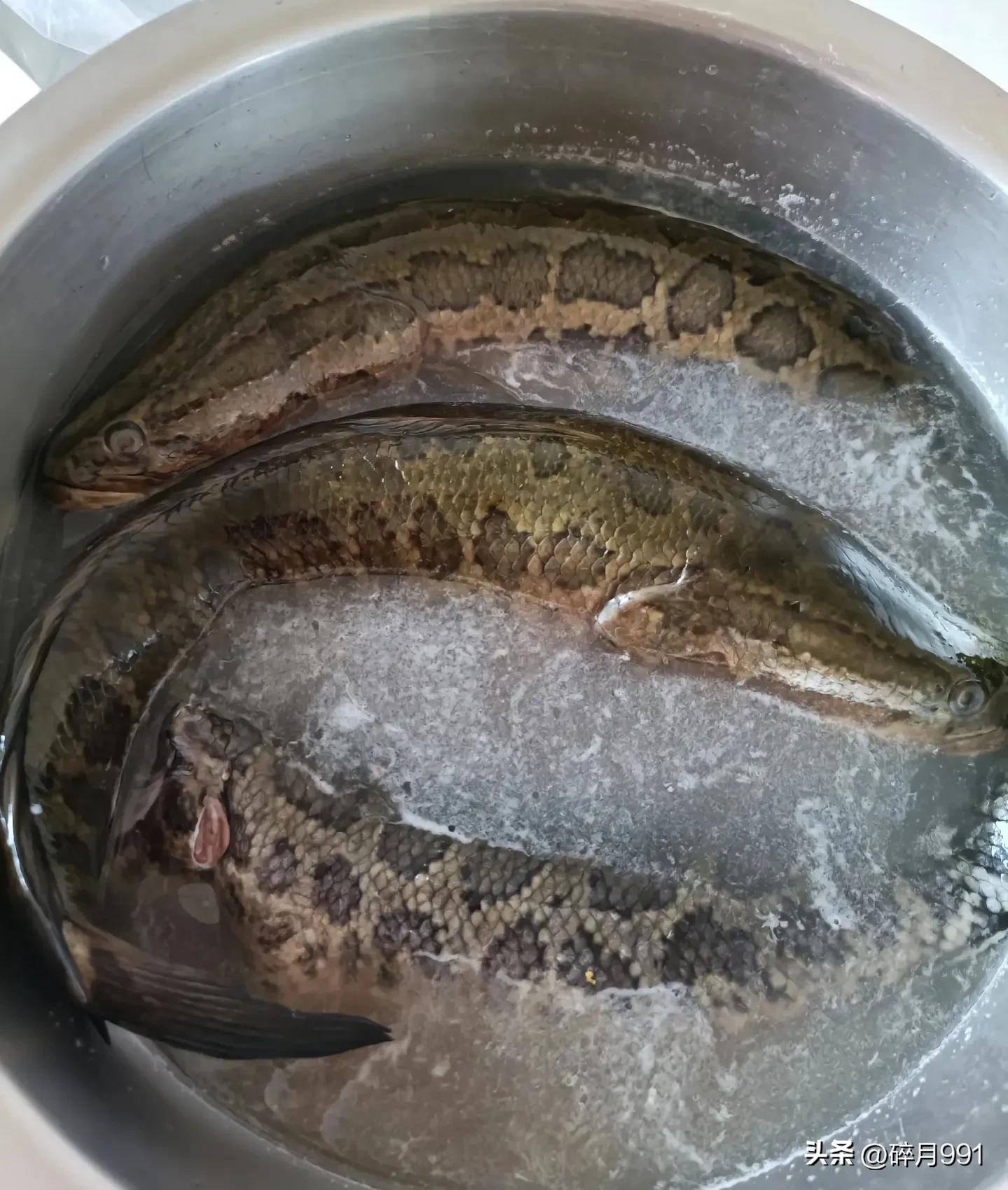 钓鱼人最喜欢吃哪一种淡水鱼,青鱼草鱼鲫鱼鲤鱼淡水鱼