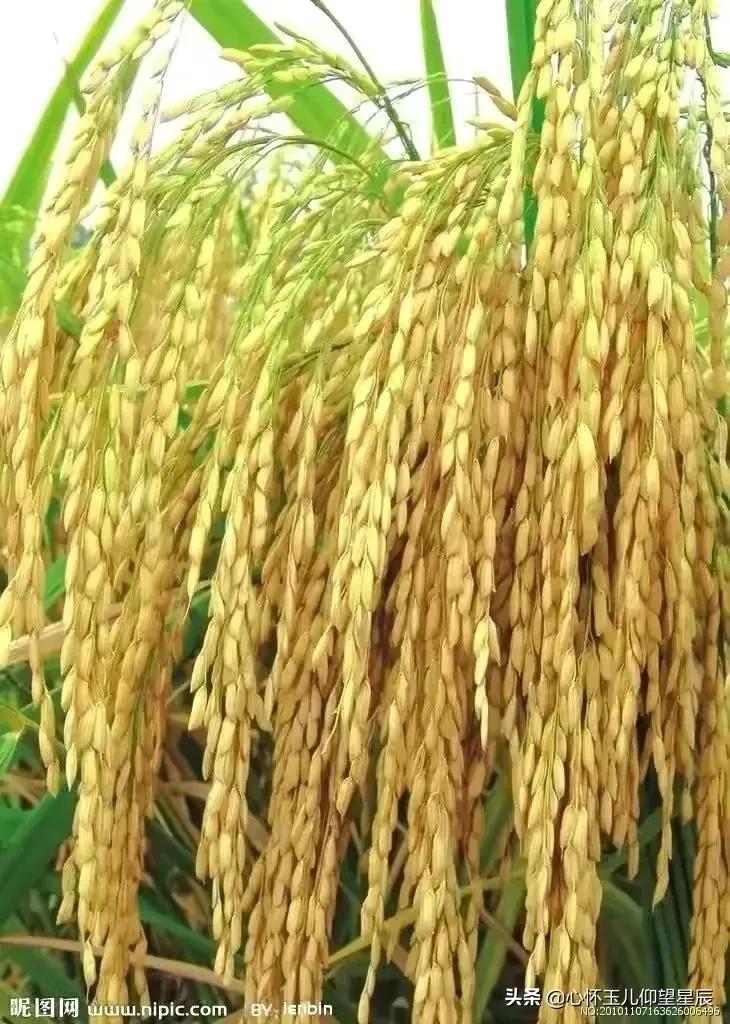 一旦发生战争需要购买什么物资,一旦战争打起来什么东西最不值钱