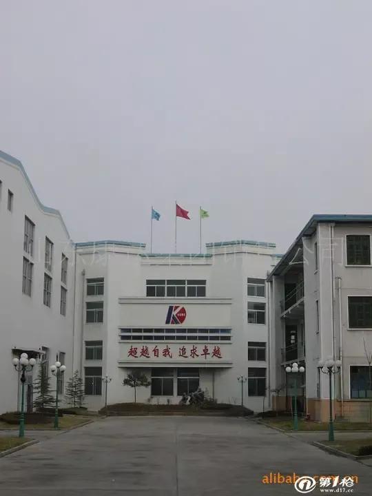 福建龙溪力佳动力股份有限公司,福建力佳有限公司