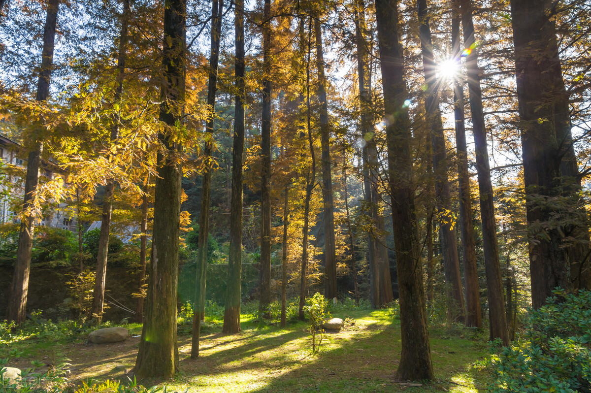 当别人不理你会怎么办,当别人不理你时要学会自己走开
