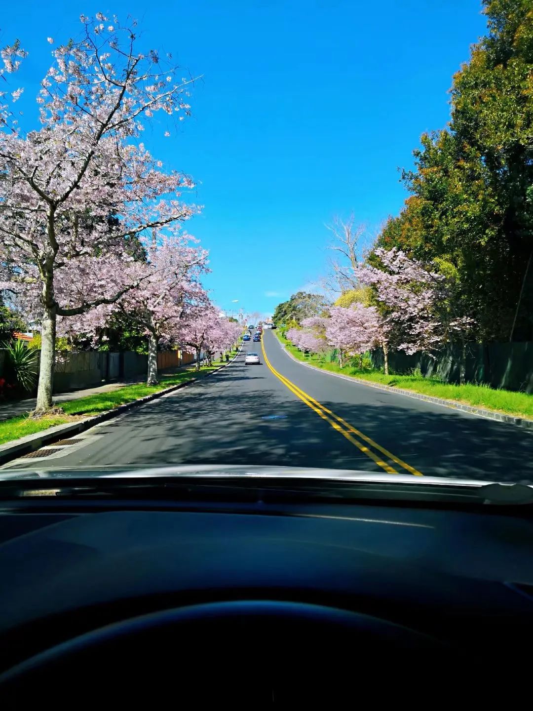 优优在新西兰：职高毕业，生两个小孩，打两份工，拿三个学位