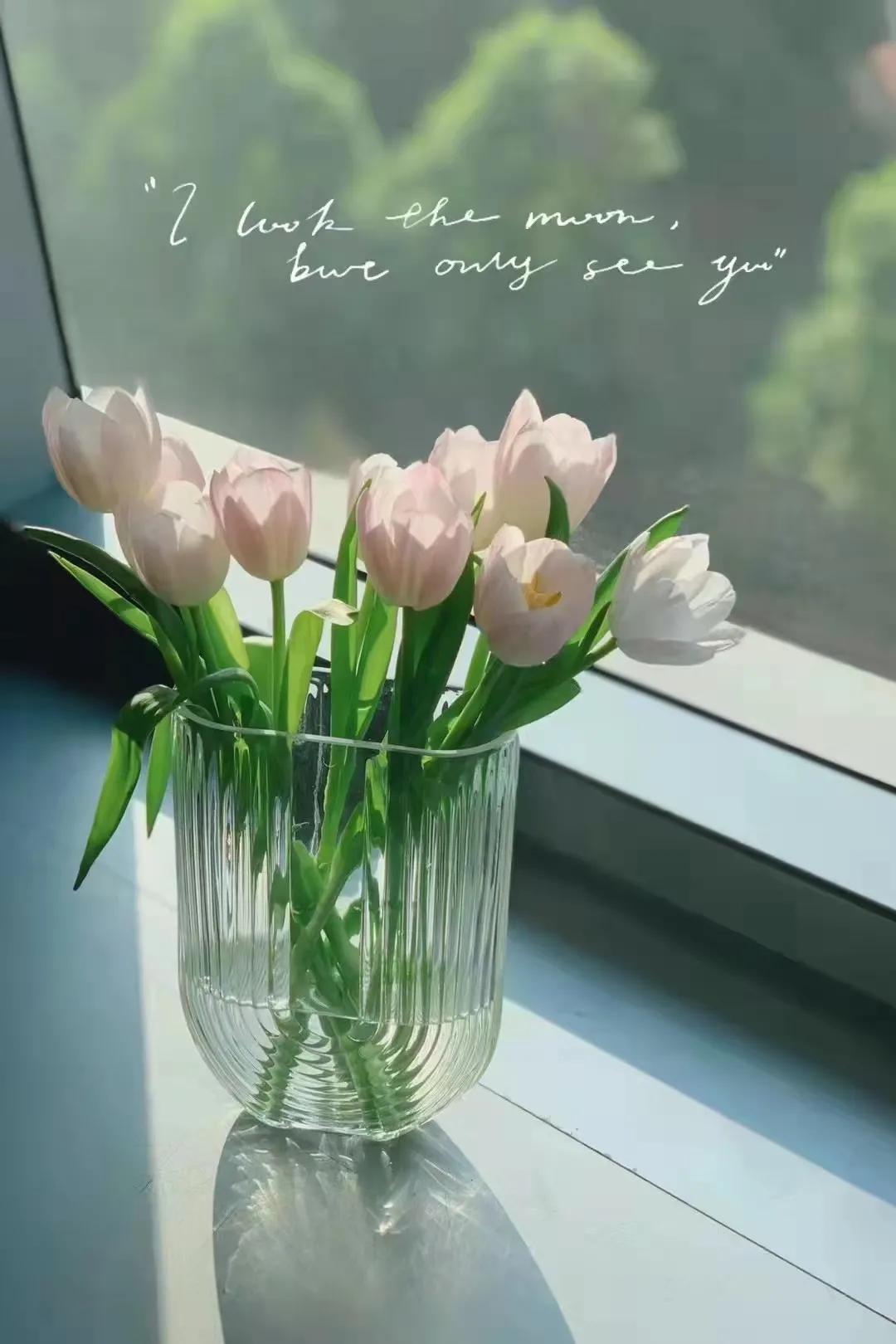 人应该怎样的活着,人应该怎样活着