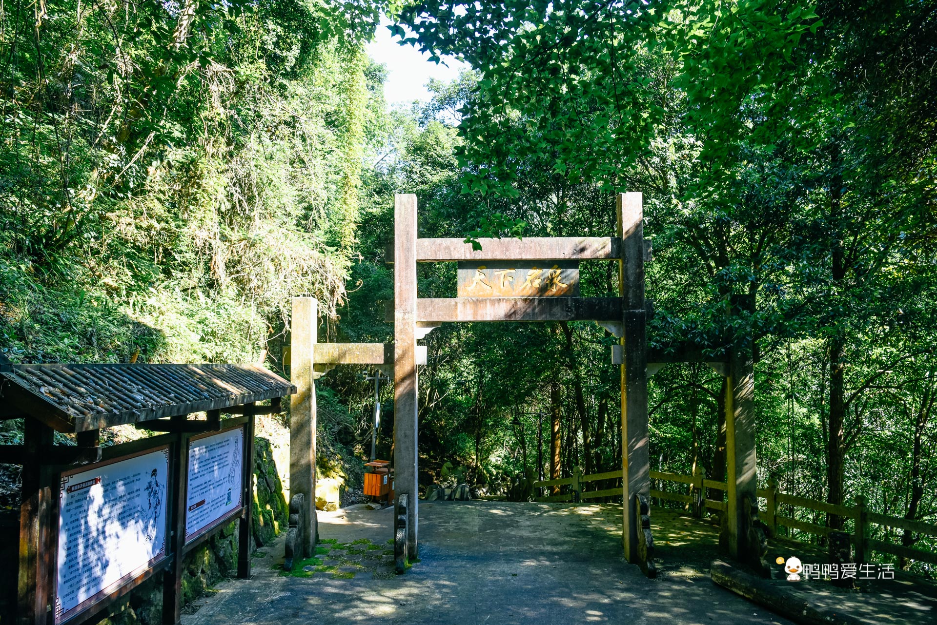 泰顺三大温泉哪个最好,浙江泰顺天然温泉度假村排名榜