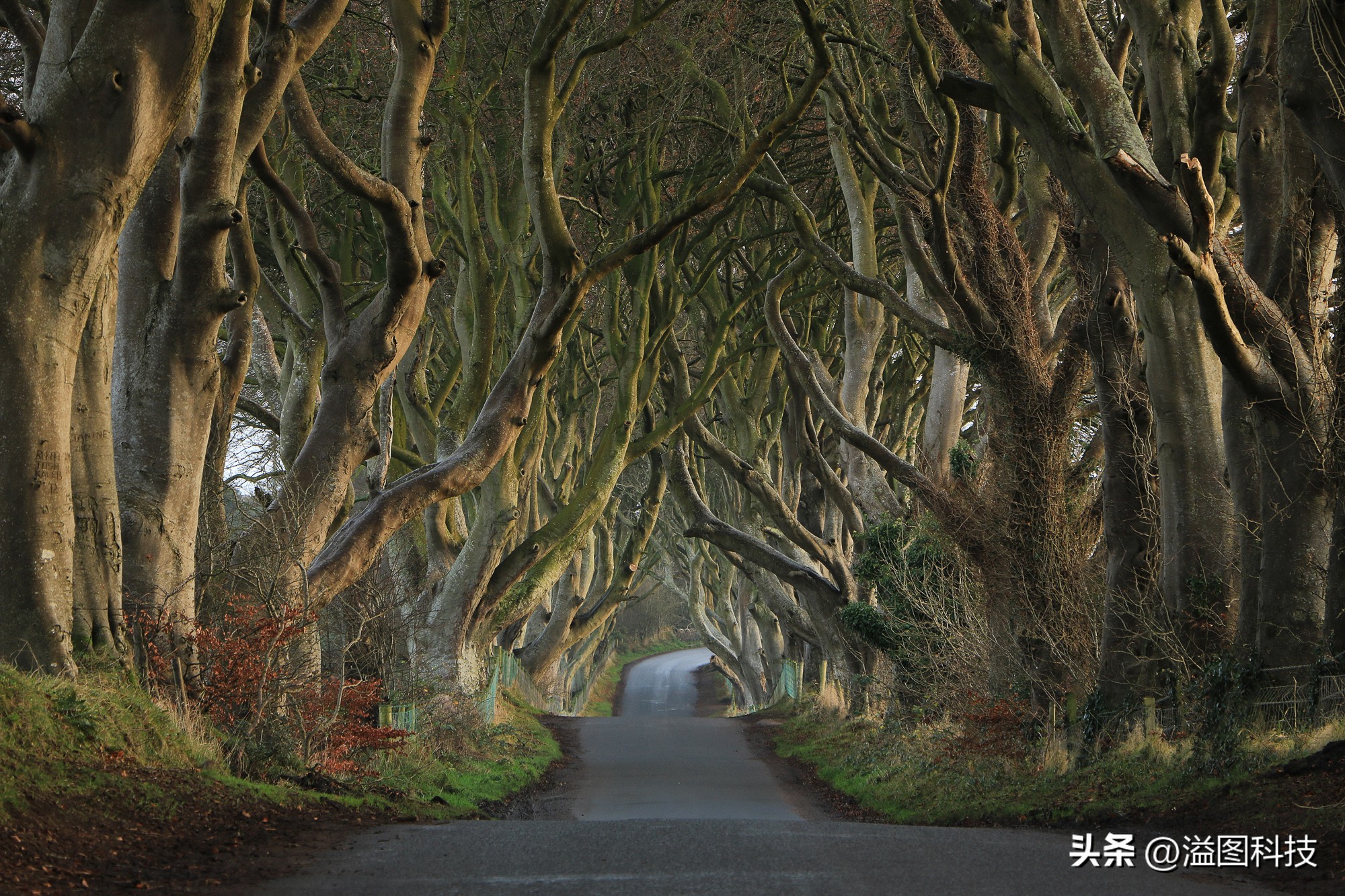 佳能eosm3和60d,佳能750d18-55镜头测评