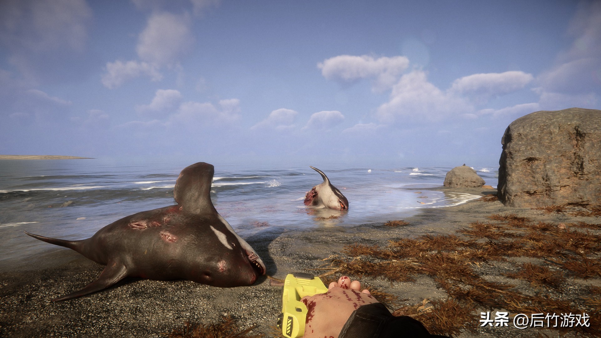 开放生存热门手游,森林之子最新游戏版号