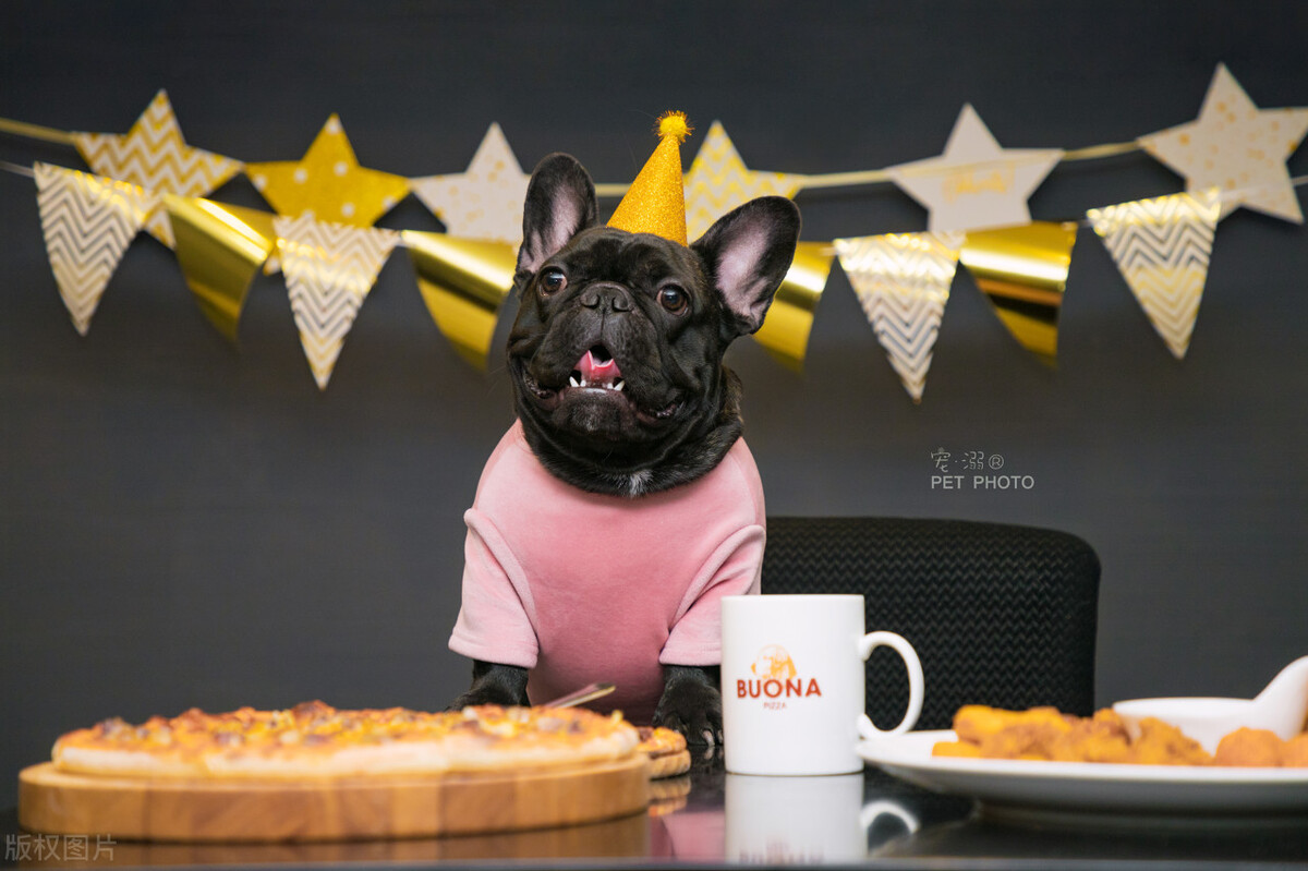 我的宠物可以只吃干粮吗？要想它们茁壮成长，还真要“区别”对待