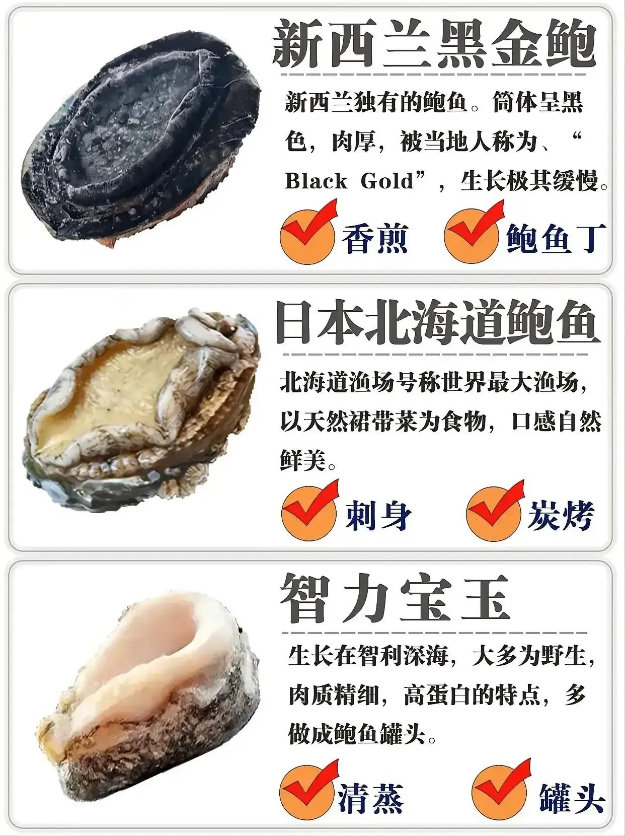 鲍鱼很多种不认识？教你它们的区别和口感，以及吃法