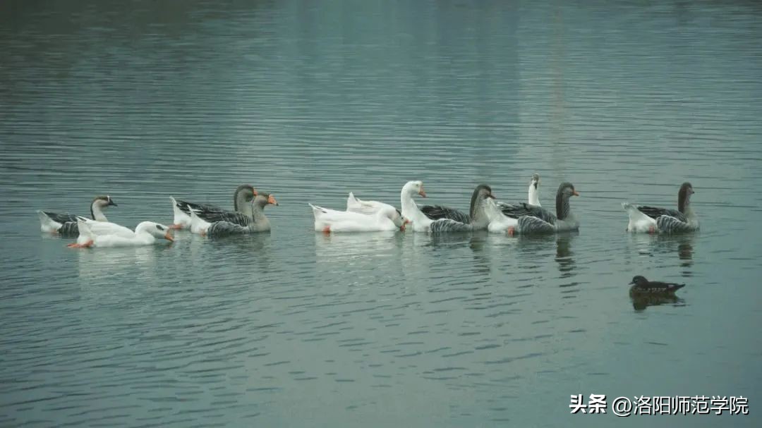 当洛师邂逅43种中国传统色……