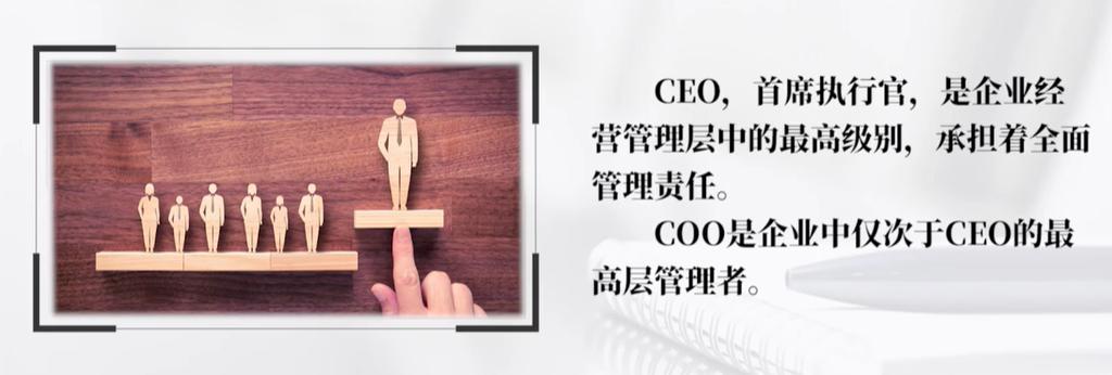 coo在公司做什么的,企业的coo是什么