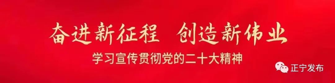 书香阅读榜推荐书目三年级,书香好书推荐书单