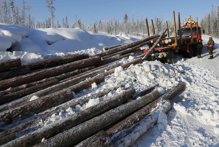 俄罗斯能开发西伯利亚吗,俄罗斯为什么开发西伯利亚区