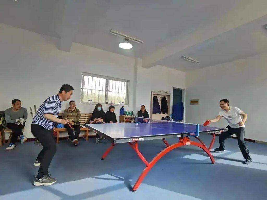 莱芜乒乓球比赛视频,莱芜乒乓球