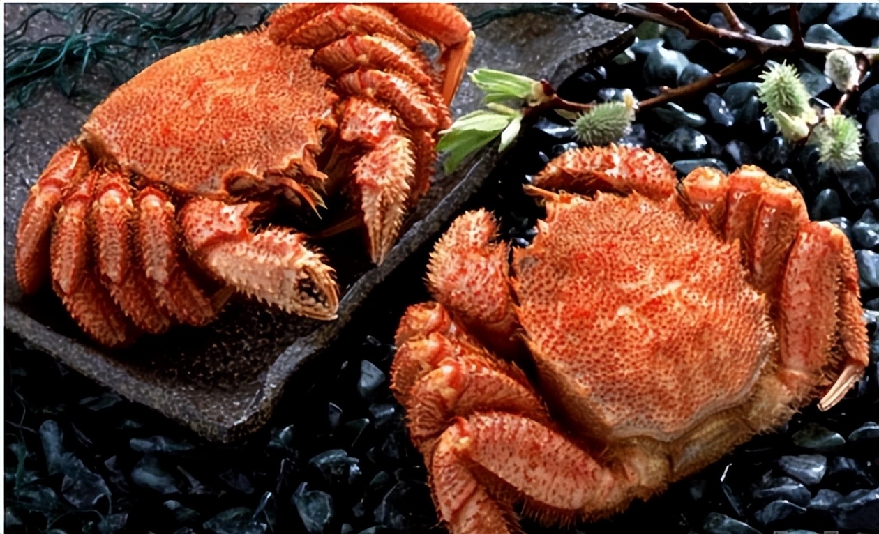 海鲜顶级食材,全球十大最贵海鲜