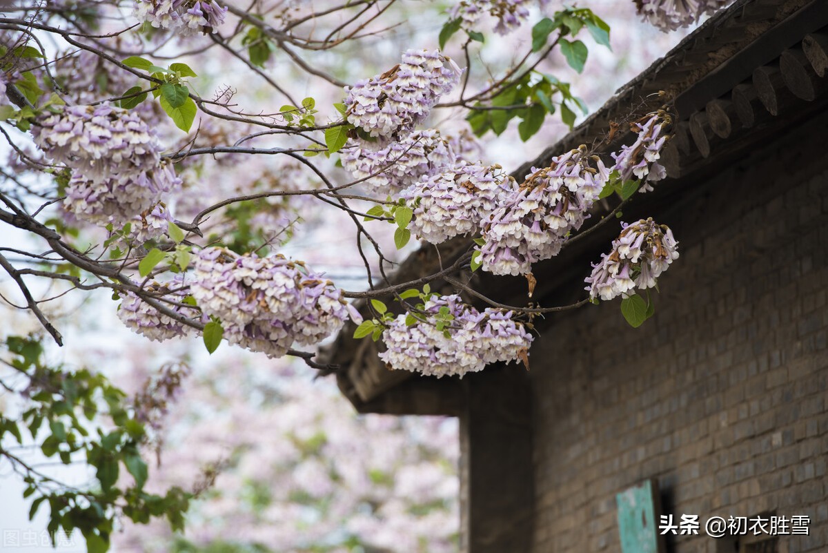 上巳节三月三美诗六首：杨柳春风三月三，十二红楼卷绣帘