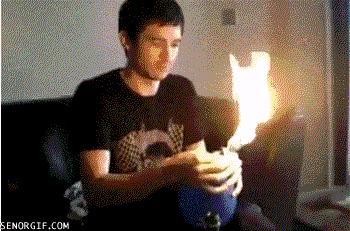 真实大象的照片,在野外拍到的真实大象