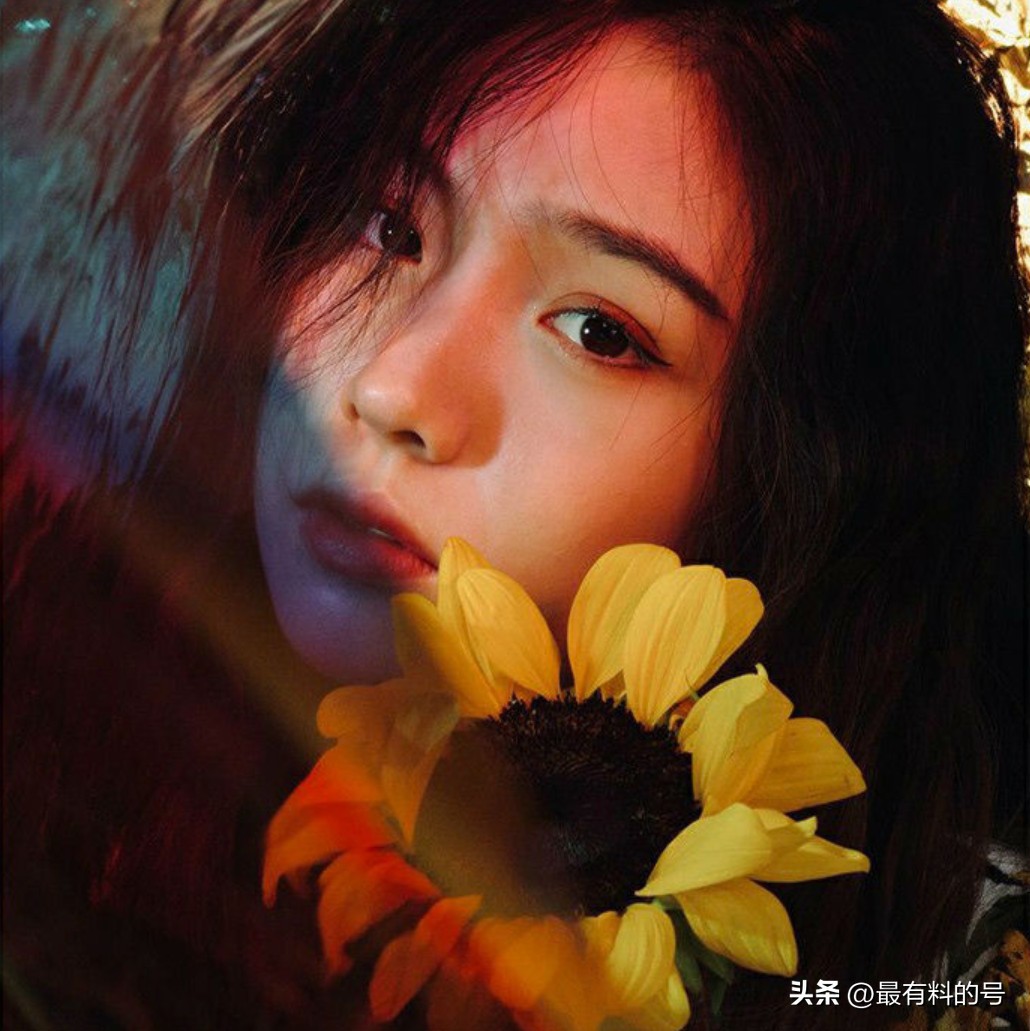 视觉中国摄影作品解读,视觉中国静物