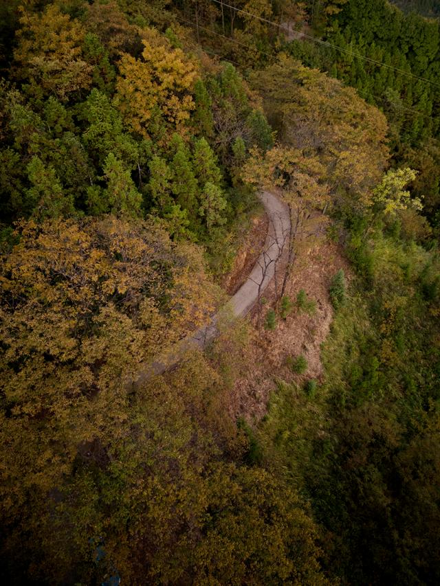 我不是天生强大而是天生要强,没有人天生就比谁更聪明