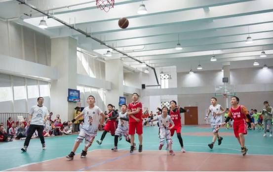 以体树人教育视频,以体树人教育联盟项目