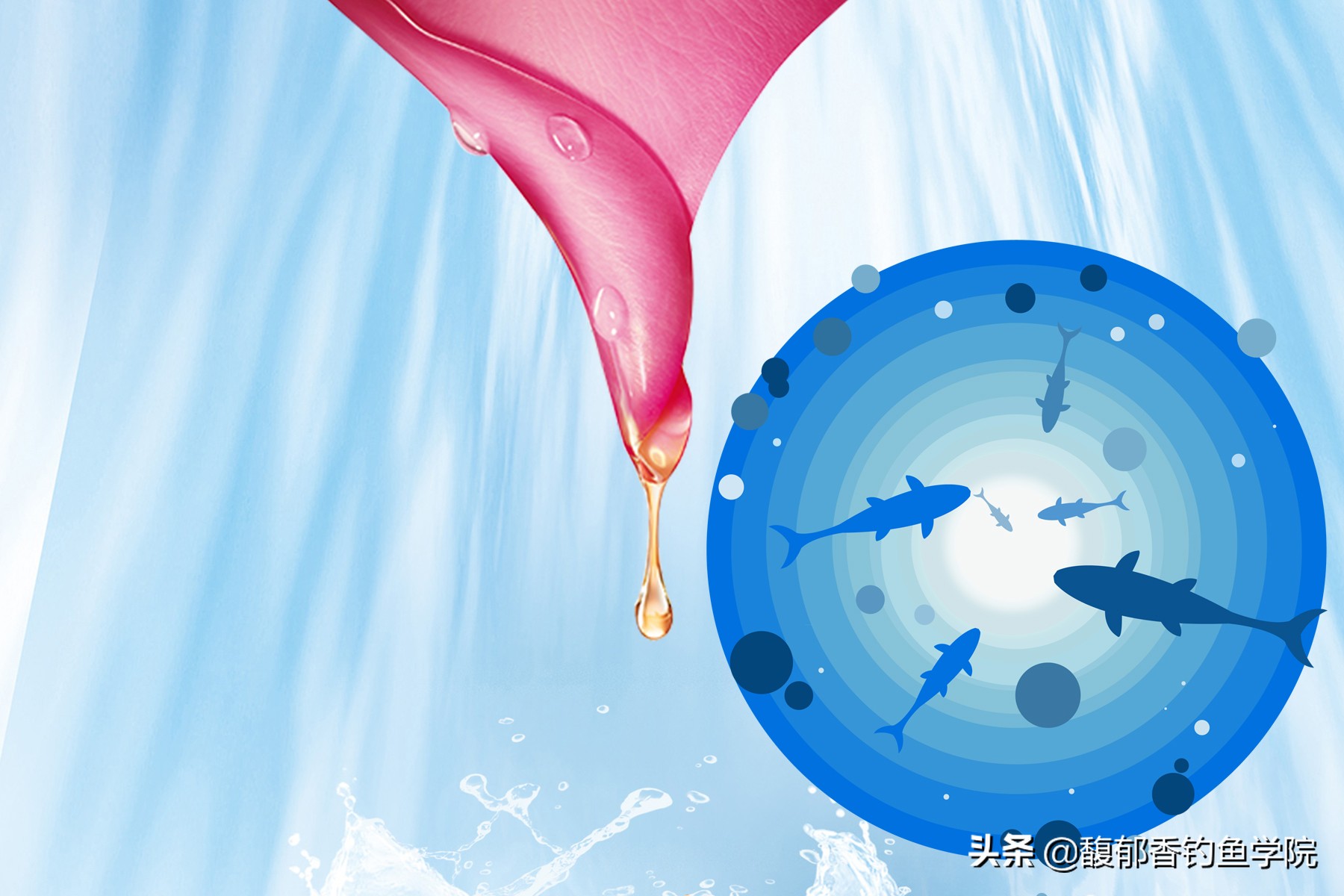 常用钓鱼小药有哪些,市面上的钓鱼小药起作用吗