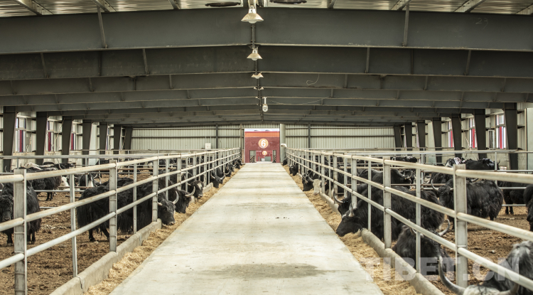 四川理塘海子山规划,理塘县生态农业发展中心