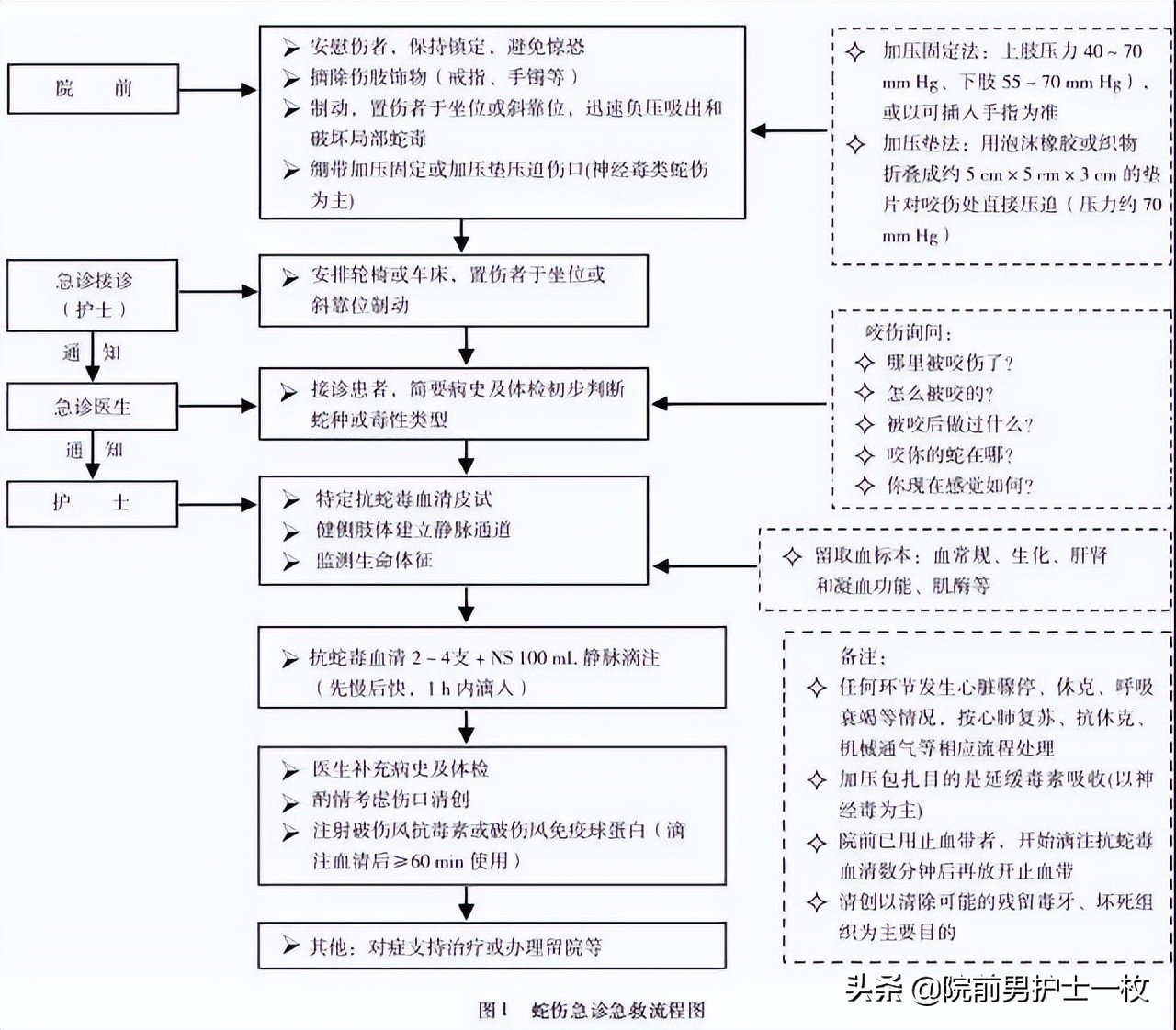 蛇咬伤急救常识大全,被蛇咬伤的处置流程及注意事项