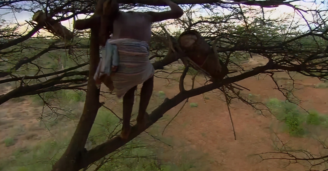 非洲原始部落的真实生活：女人想找对象，就要主动让男人鞭打