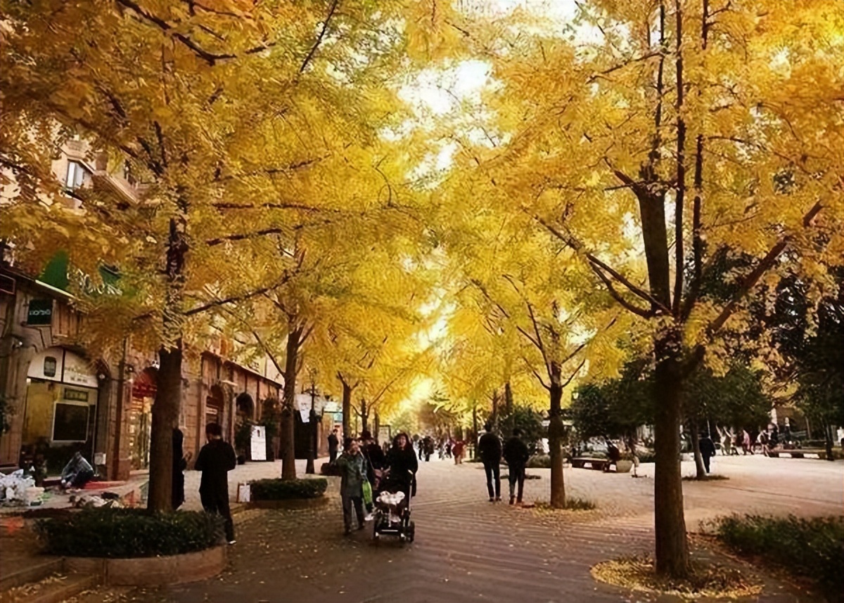 上海板块置业,上海千万级楼盘推荐