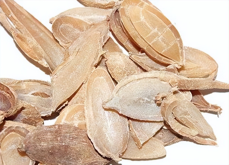 医案｜24岁月经不调没重视，多囊调理要从体质抓起