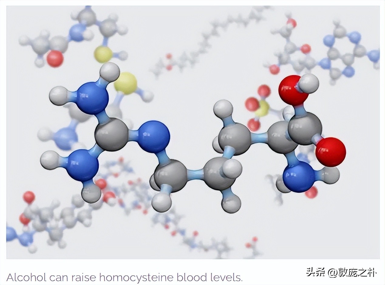 为什么会产生很多同型半胱氨酸 (为什么会出现同型半胱氨酸)