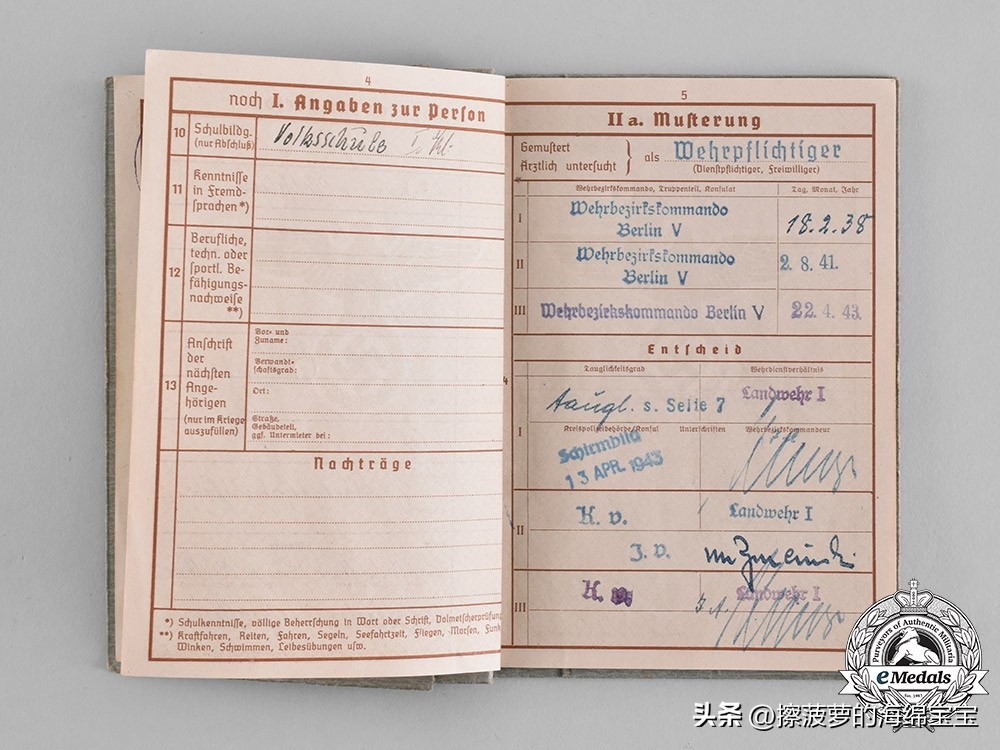 二战时德国军人的肩章,二战德国兵种领章