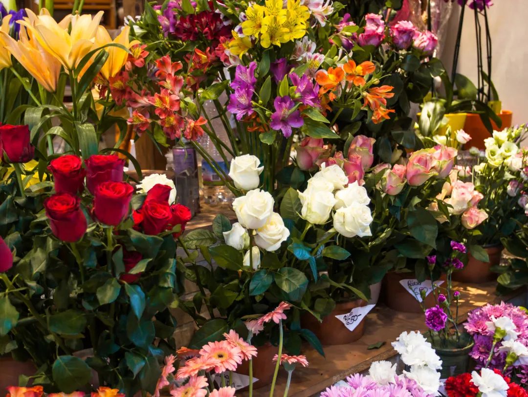 深圳必逛的批发市场,深圳值得逛的批发市场