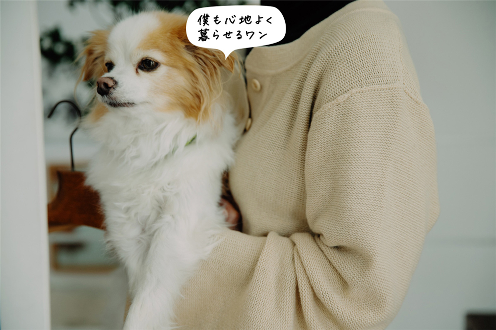 30岁阿姨6平米温馨小房间,日本小蜗居