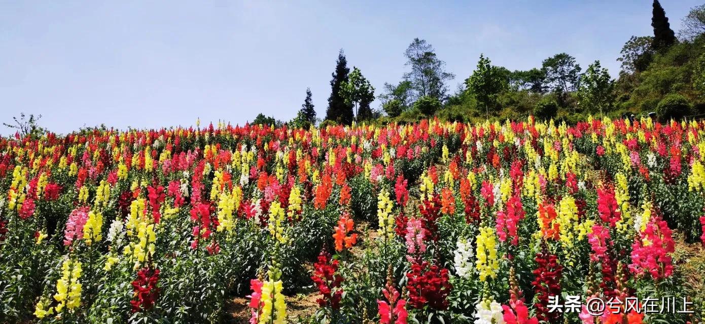 川西峡谷世外桃源,川西最美山谷