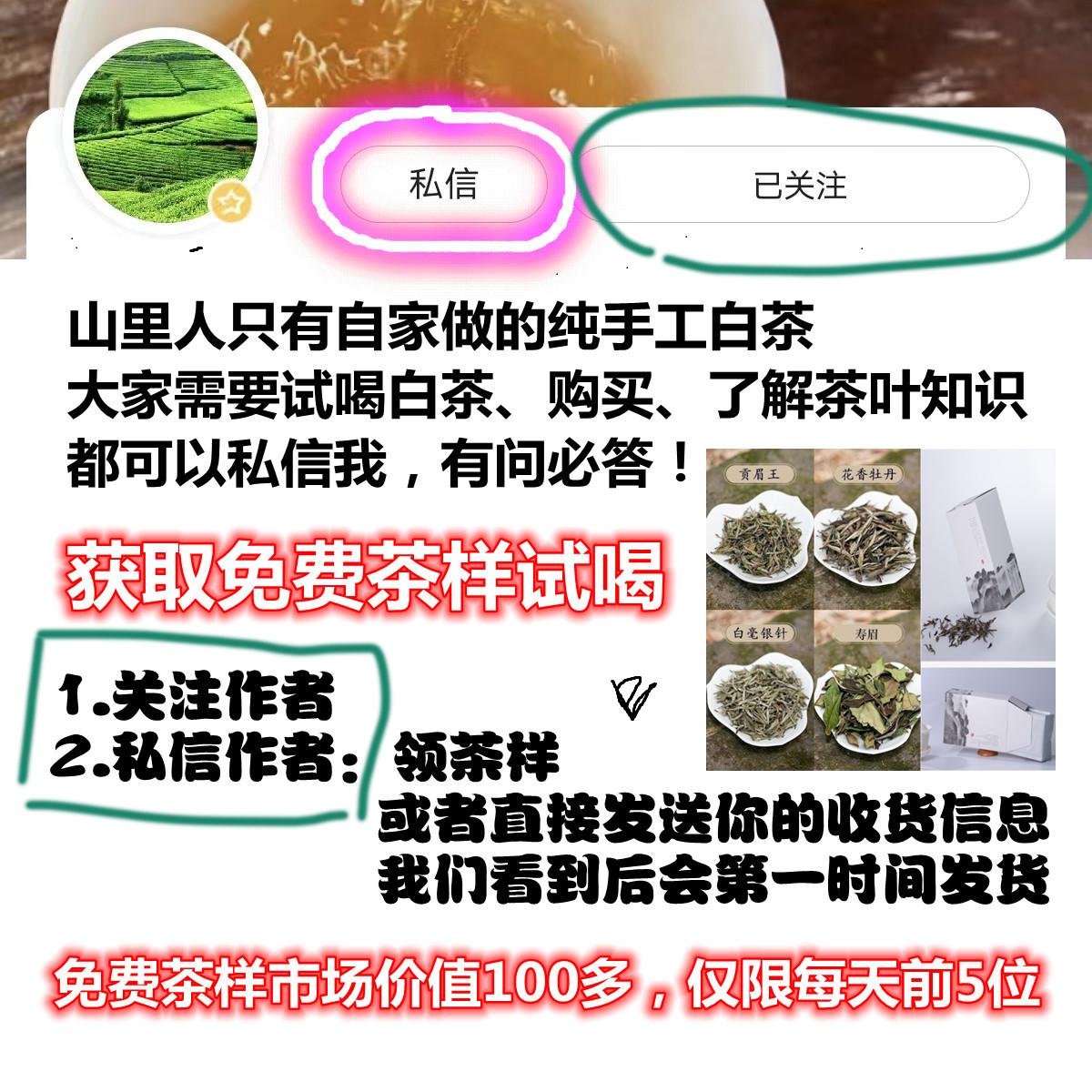 天目湖白茶的简介,天目湖白茶怎么存放
