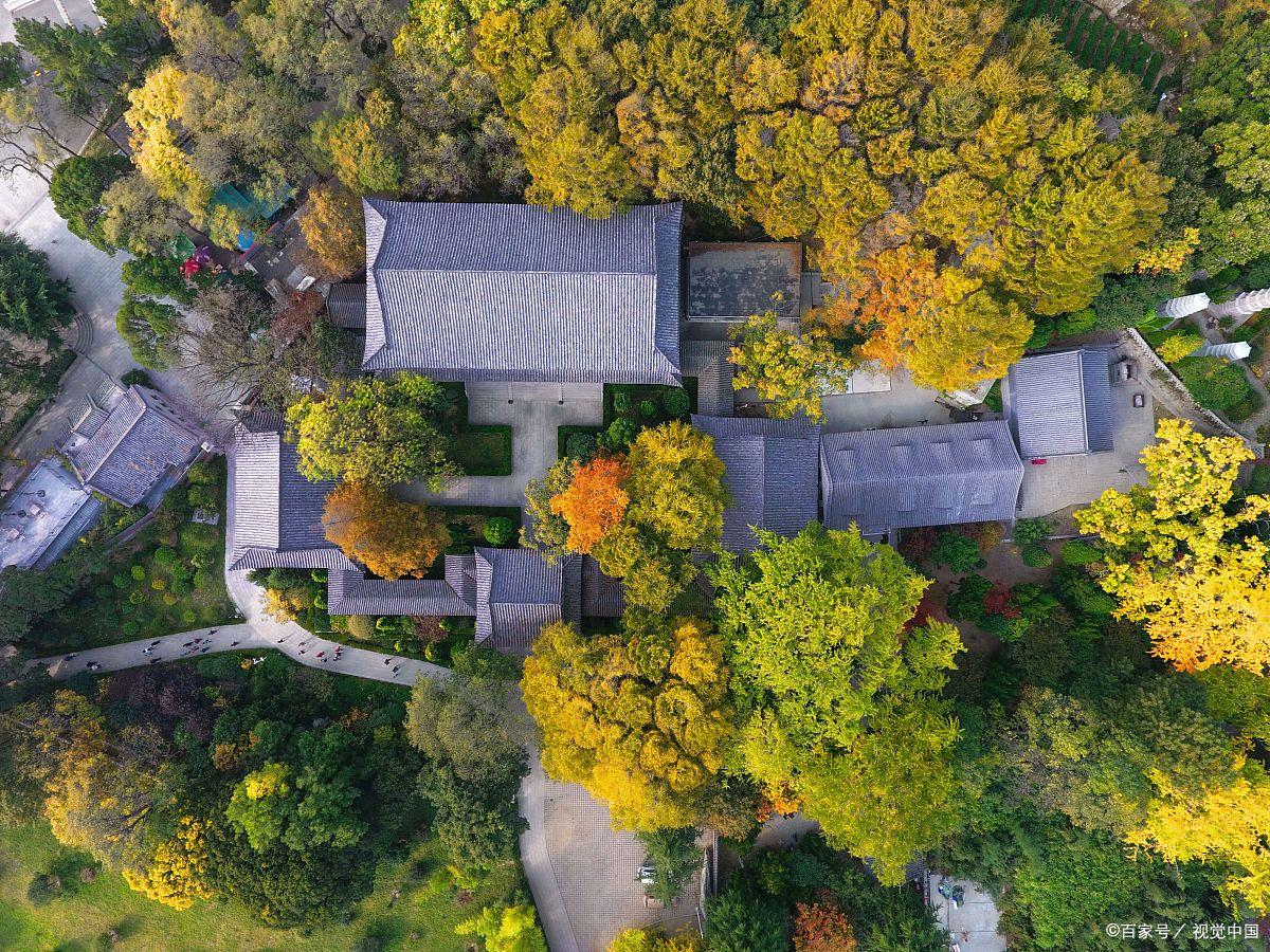 青岛旅游免门票景区有哪些,青岛旅游攻略最坑人的景点