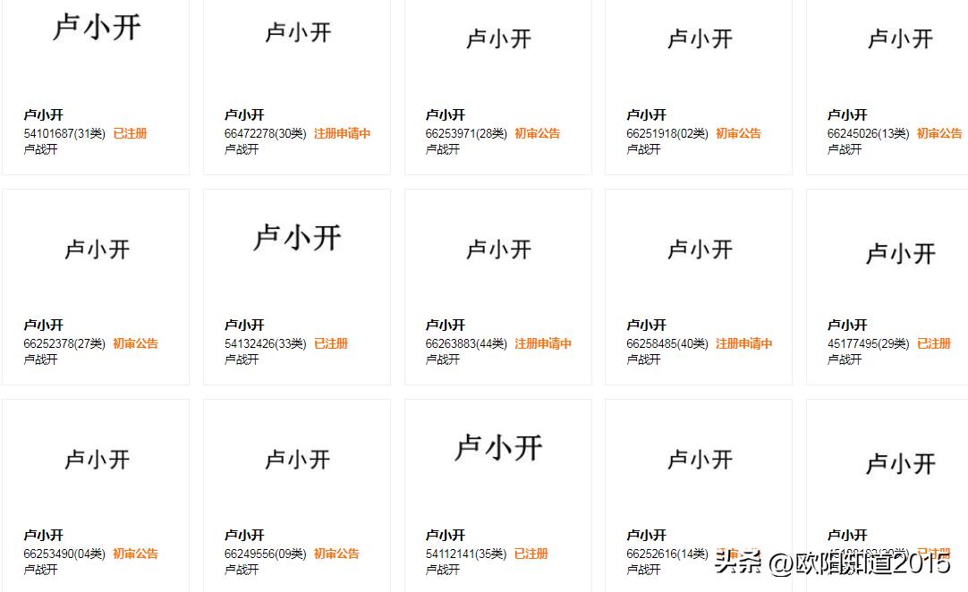 卢小开商标,为什么卢小开可以注册商标