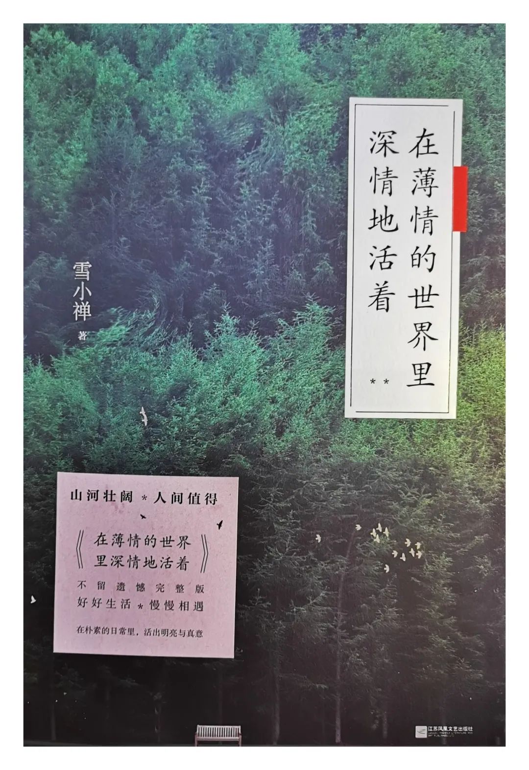 雪小禅终无言,林深时见鹿梦醒时见你全文