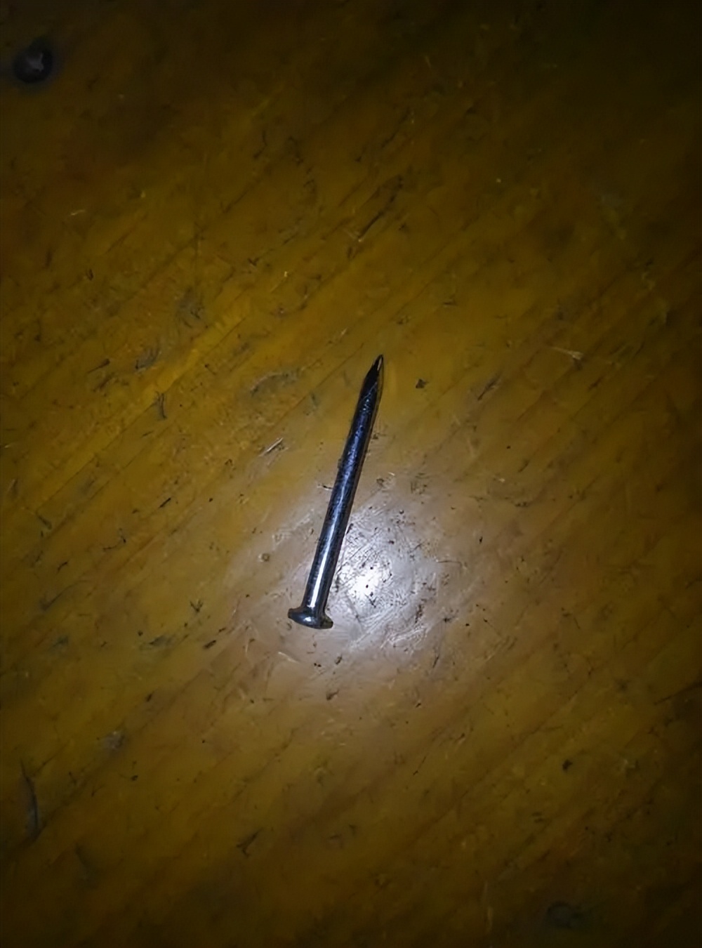 越狱潜逃案件,越狱潜逃30年落网