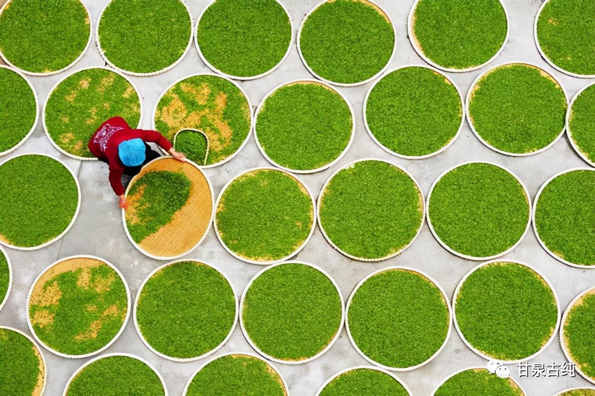 茶有五行,五行平衡茶