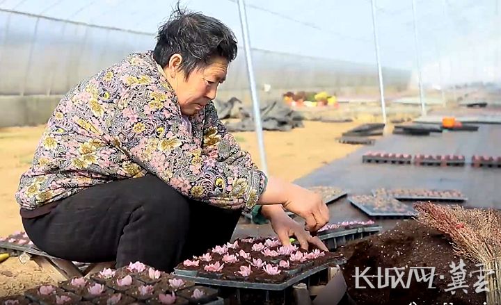 大学生返乡创业做新农人,新农人2023乡村振兴返乡创业