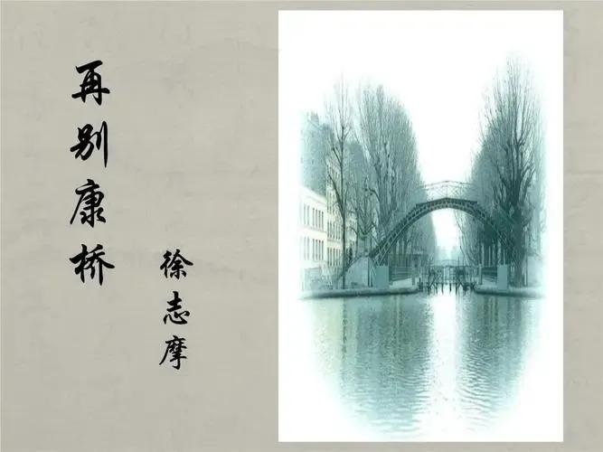 一棵开花的树最主要的意境,一棵开花的树创造了什么意境