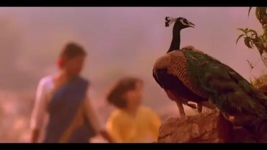 大地与自然的关系,大自然的纪录片经典