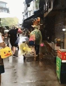 女生衣服上的字母含义,你知道衣服上的字什么意思吗