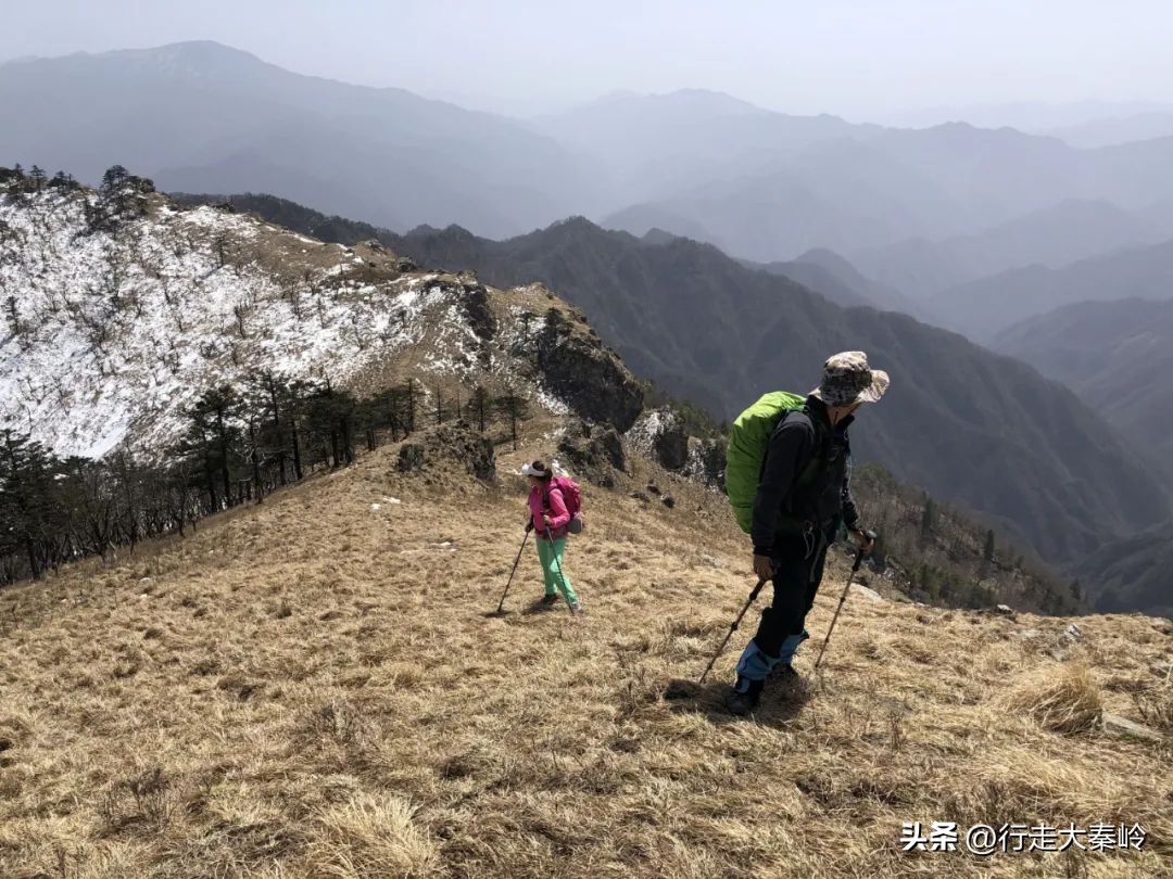 首阳山穿越大坪梁景色怎么样,大坪梁穿越到首阳山攻略
