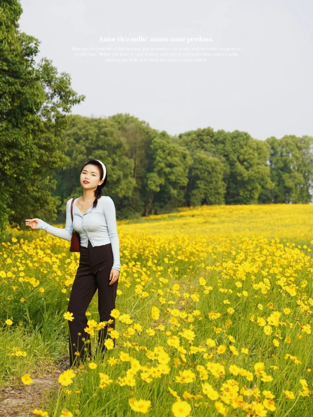 金鸡菊花海旅游攻略,金鸡菊花海美景