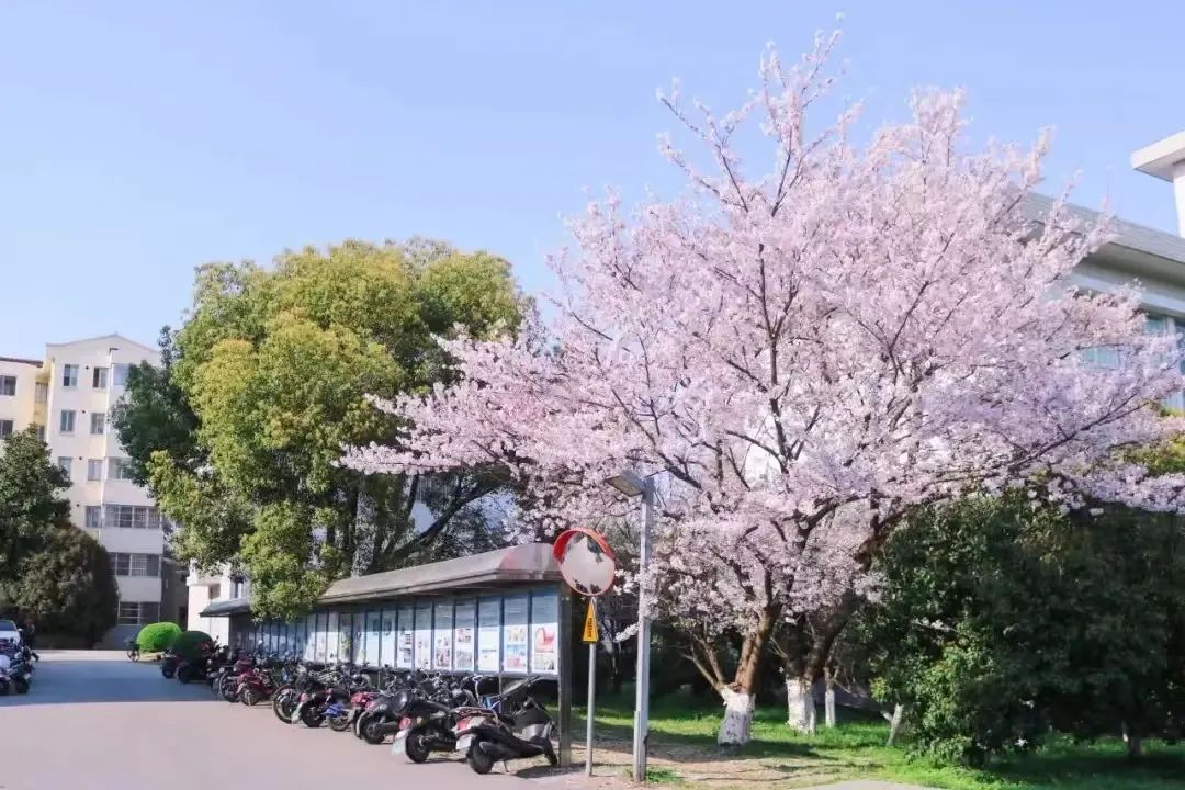 森林中的大学——无锡太湖学院：很高兴认识你