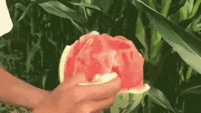 如何评价这个女主持人，主持了一半把*袜丝**脱了？